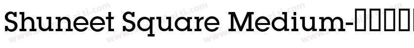 Shuneet Square Medium字体转换